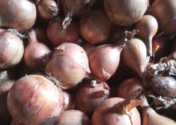 CEBULA