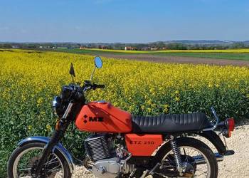 Mz etz 250 igła!!!