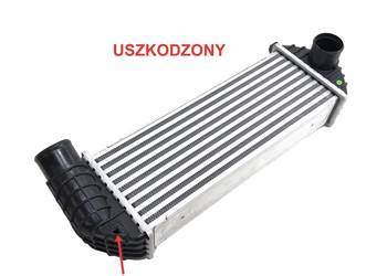 Mercedes Citan 108 CDI 1.5 CDI 55kW 75KM Chłodnica powietrza Intercooler