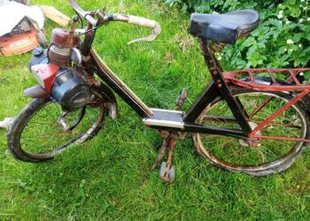 Solex