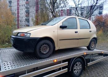 Punto w całości lub na części Punto w całości lub na części