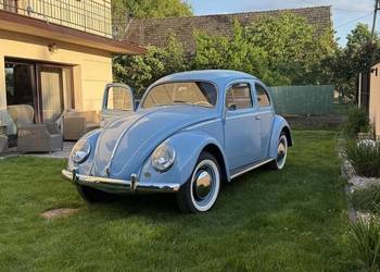 VW Garbus Oval 1954