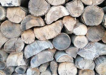 Drewno bukowe bardzo dobrze wysuszone