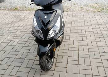 Skuter