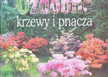OZDOBNE KRZEWY I PNĄCZA - CHOJNOWSKA