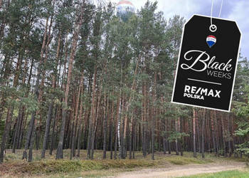 Działka rolna z samosiejkami