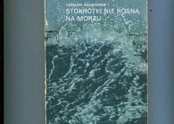 Stokrotki nie rosną na morzu - Adamowicz