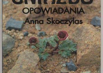 Bocianie Gniazdo  Opowiadania - Anna Skoczylas