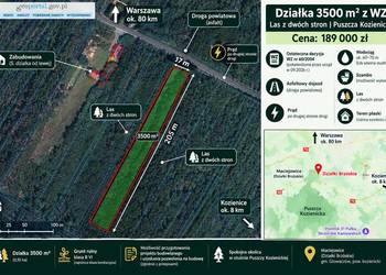 Działka 3500 m² z WZ, Puszcza Kozienicka, 80 km od Wa-wy