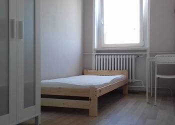 3pok, 63met, Okolice Paulińskiej PIWNICA (Wrocław)