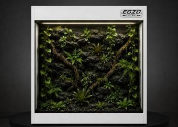 Terrarium tropikalne dla boa cesarskiego pytona regiusa kameleona
