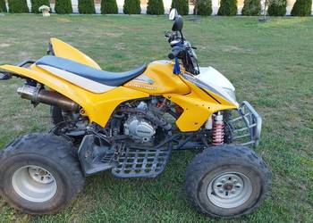Quad Kingway 250!