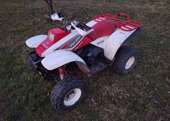 Polaris trial boss 325