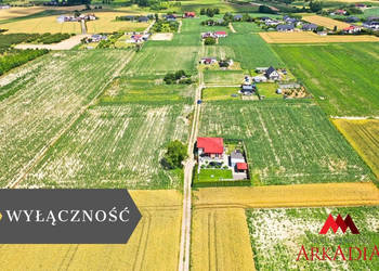 Działka 8992.5m2 Szpetal Górny