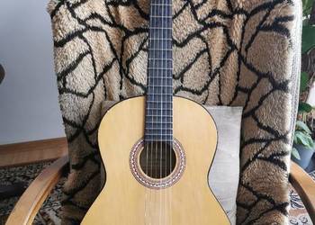 Gitara Durango MG-006