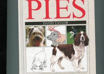 Ty i twój pies - david Taylor