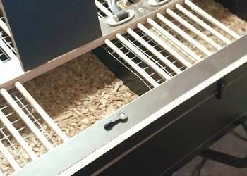 Transportówka dla ptaków