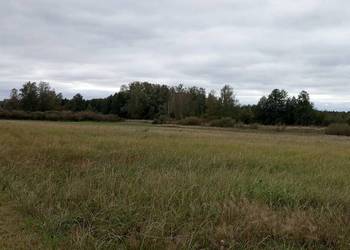 Działka rolna nad Kanalem Mazurskim