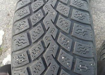 Targum Snow Plus 195/65 R15 zimówki opona zimowa