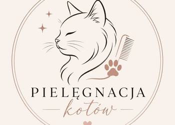 Pielęgnacja kotów ŁÓDŹ