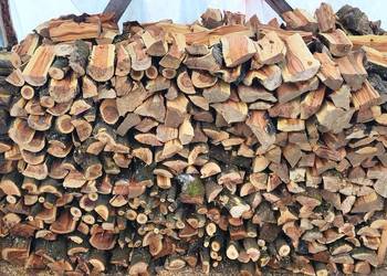 Drewno owocowe do kominka śliwa, mirabelka, jabłoń prestiżowy design