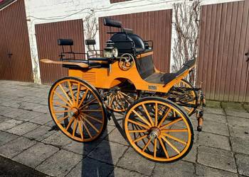 Bryczka Konna typ Sport Break Powóz