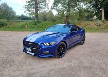 Ford Mustang bardzo zadbany