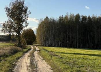 Sprzedam las gmina Stary Brus 9,11 ha