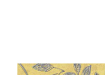 Listwa Carlita giallo 6 x 20, Paradyż, płytki, kafelki, listwy