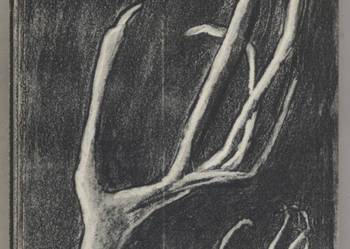 Śród żywych duchów - Szejnert