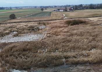 Syndyk sprzeda nieruchomość gruntową w m. Molna (woj. śląskie)