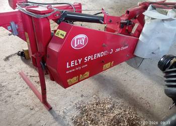 Sprzedam lely splendimo