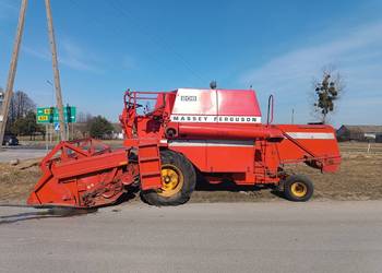Massey Ferguson 206 z sieczkarnia