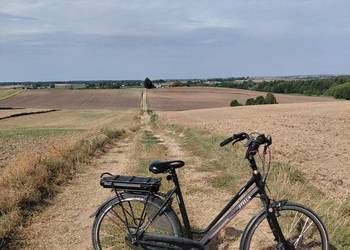 Stella vicenza pro USZKODZONA