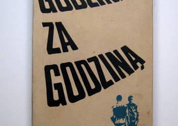 Godzina za godziną - Andrzej Twerdochlib