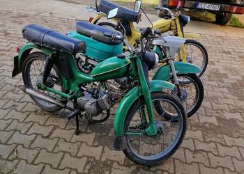 2xRomet komar jawa kaczka