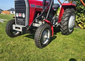 Massey Ferguson 255