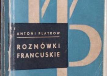 ROZMÓWKI FRANCUSKIE - PLATKOW ANTONI