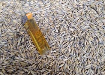 OWIES EKOlogiczny czyszczony