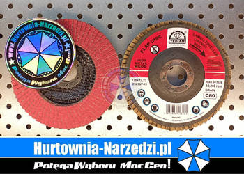 200 sztuk Tarcza Listkowa Ceramiczna 125mm P60 lamelka ceramiczna