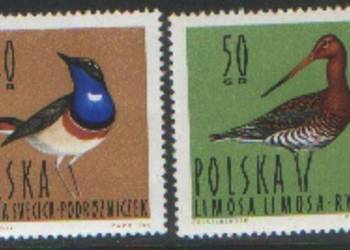 Zn. Fi 1343, 4 ** 1964