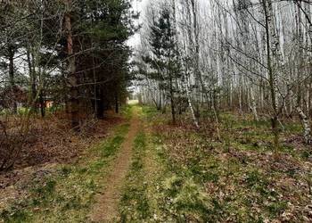 Działka rolna-leśna gm. Żabia Wola, niedaleko S8