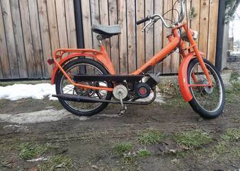 Motorower Starflite Mini