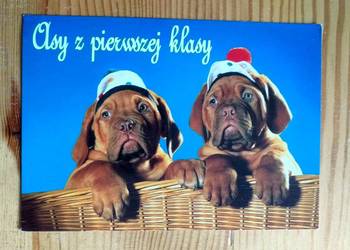 DWA PIESKI - ASY Z PIERWSZEJ KLASY