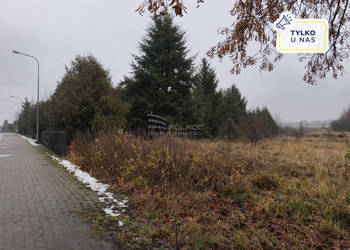 Atrakcyjne działki w centrum Kobylan