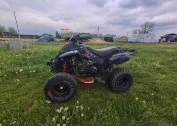 Quuad Dinli Lacki Star 300