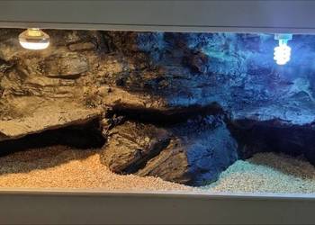 Okazja terrarium dla żółwia greckiego gekona lamparciego