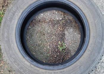 Opony zimowe 205/60  R16 Dębica Frigo