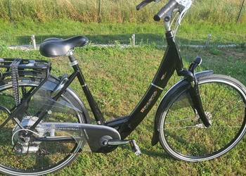 Rower damski Spart ION wspomaganie elektryczne rama 48