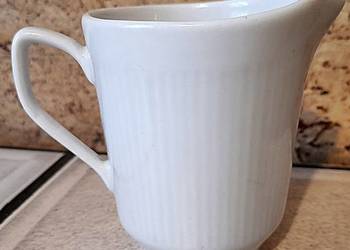 Mlecznik sosjerka Made in Poland - Wałbrzych